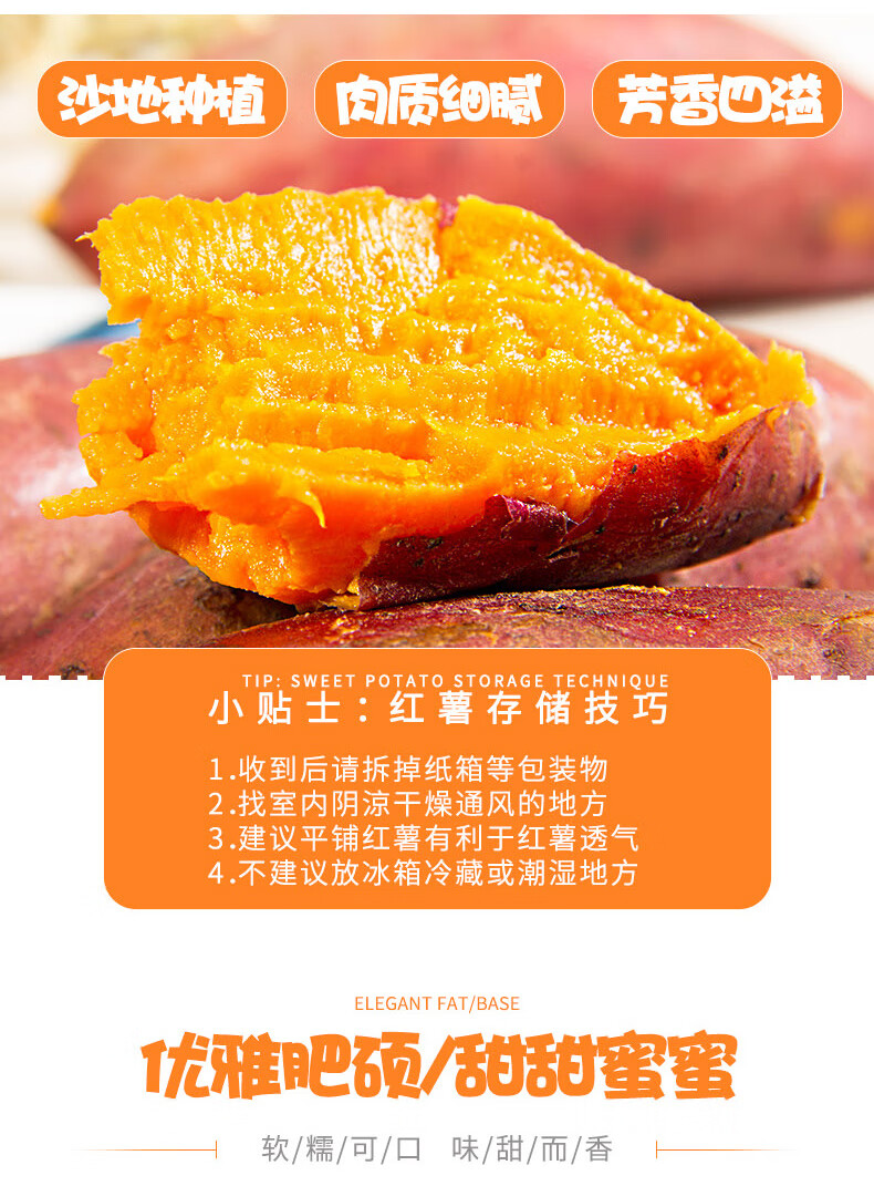 d056bb5947672f9b.jpg