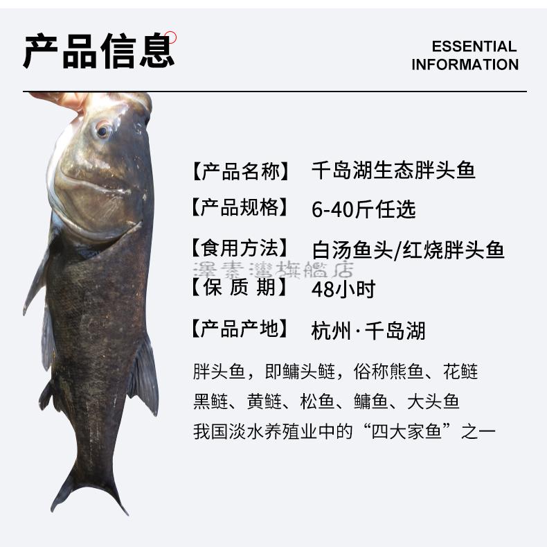 414b6ed95678d91c.jpg